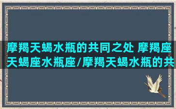 摩羯天蝎水瓶的共同之处 摩羯座天蝎座水瓶座/摩羯天蝎水瓶的共同之处 摩羯座天蝎座水瓶座-我的网站